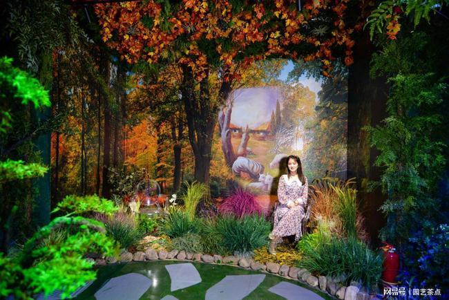 深入探索赞美竹叶青的句子,解读知识星球平台的独特魅力