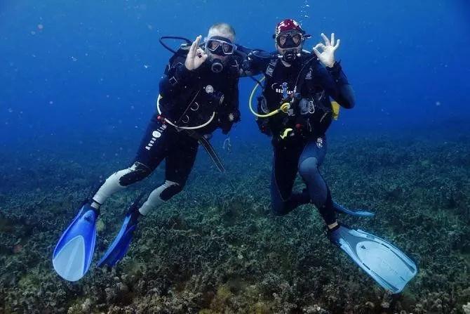 机智问答网页-关注磁力狗最新版官网问题的优质平台